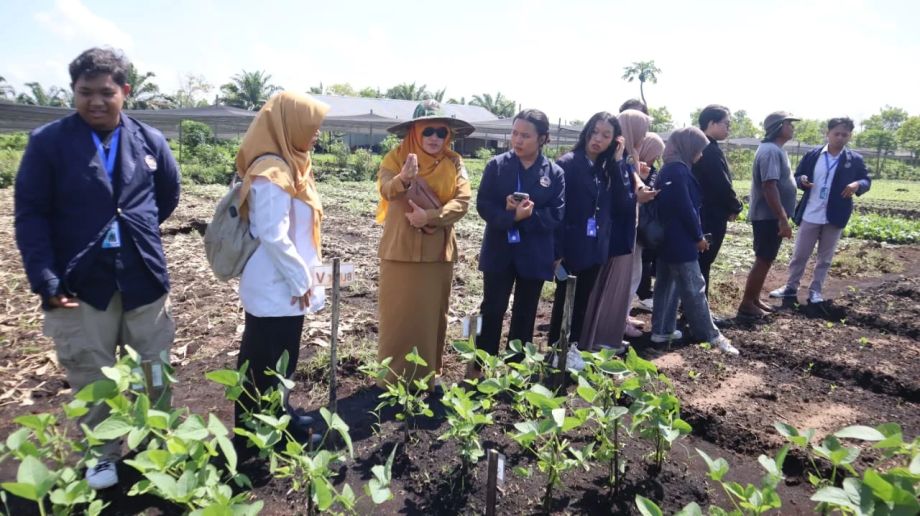 Sekretaris Dinas Ketahanan Pangan mengajak Mahasiswa Fakultas Pertanian Untan praktek lapang di demplot pengelolaan lahan gambut di Kebun Kacang Edamame